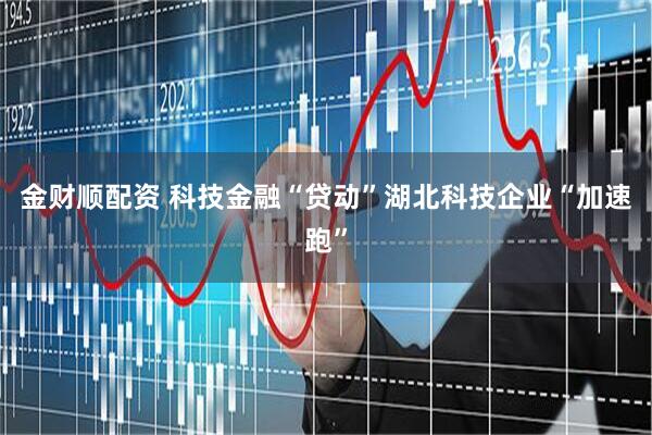 金财顺配资 科技金融“贷动”湖北科技企业“加速跑”